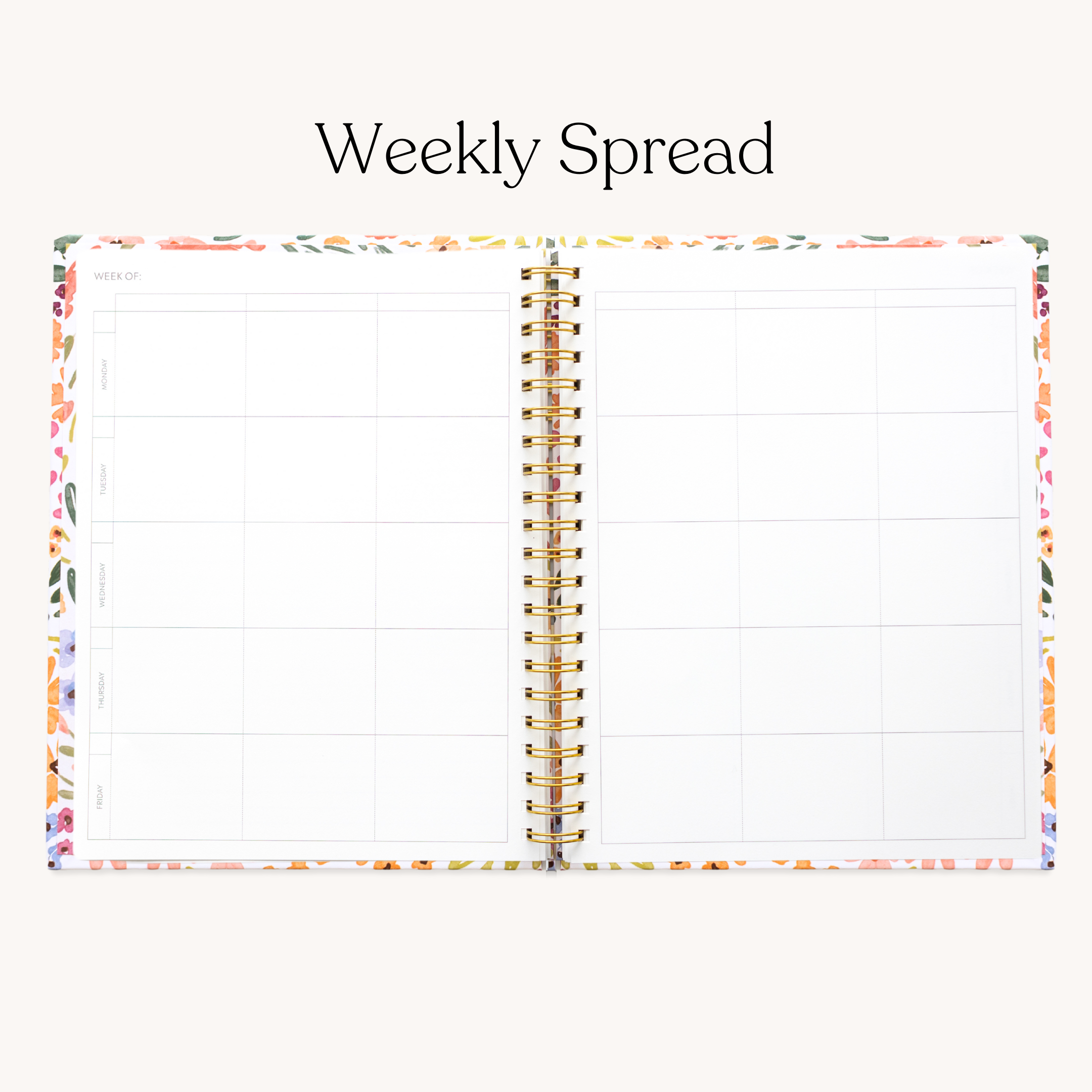 Teacher Planner - Undated